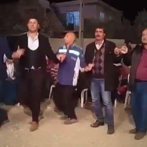 çılgın çılgın Halaycı GIF