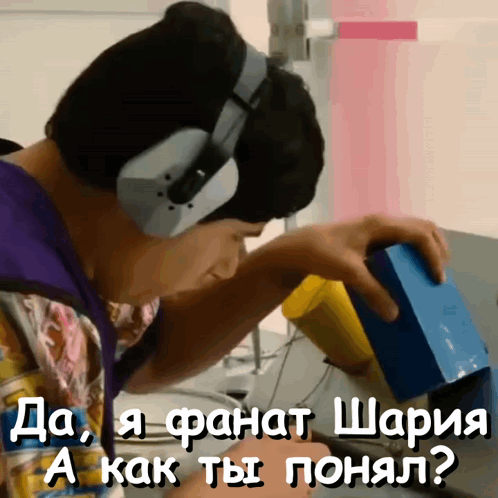 шарий фанат фанат шария GIF