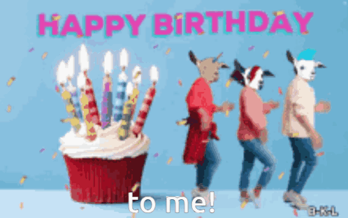 תומר ארגואטי Argoetti GIF
