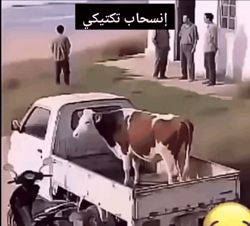 انسحاب تكتيكي إنسحاب GIF
