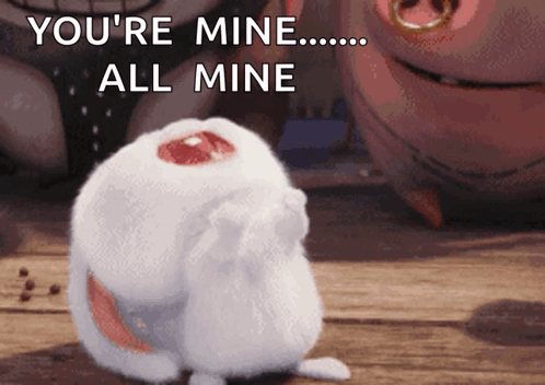 兔子 Secret Life Of Pets GIF