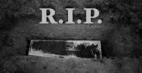 100 GIF