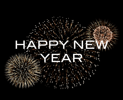 2025 Fireworks GIF