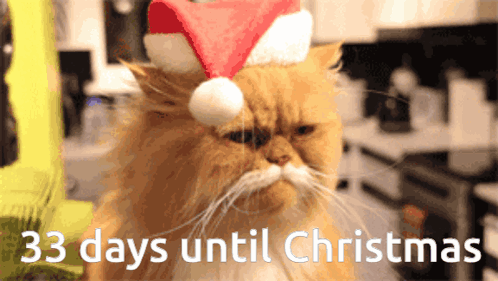 33 Days Left 33 Days Until Christmas GIF