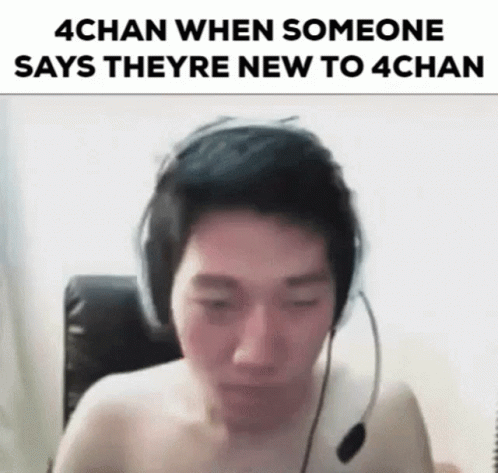 4chan 4chan Moment GIF