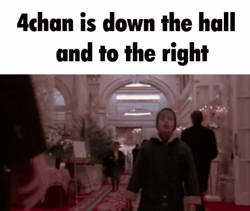 4chan Reddit GIF