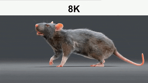 8k Spinning GIF