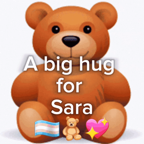 A Big Hug For Sara Sara GIF