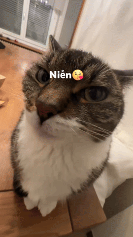 A GIF