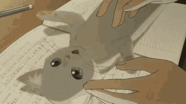 A Whisker Away Cat GIF