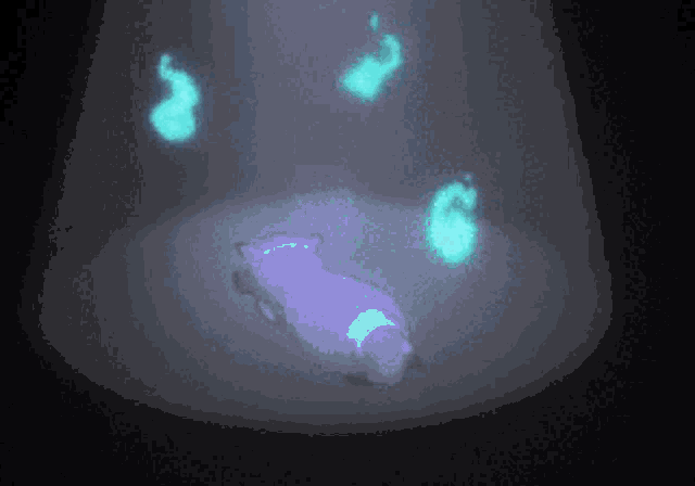 Acchi Kocchi Anime GIF
