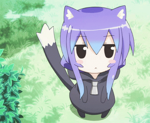 Acchi Kocchi GIF