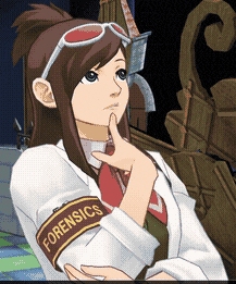 Ace Attorney Ace Attorney Dual Destinies GIF