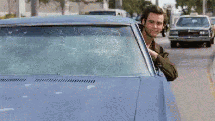 Ace Ventura Jim Carey GIF