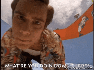 Ace Ventura Pet Detective GIF