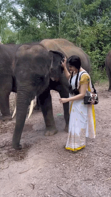 Adah Sharma Elephant GIF