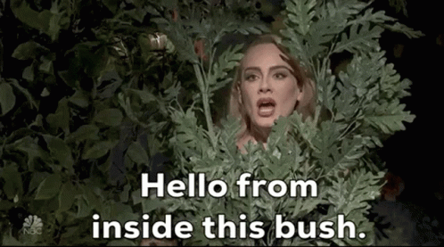Adele Sn P GIF