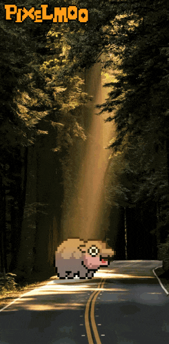 Adorable Animal GIF