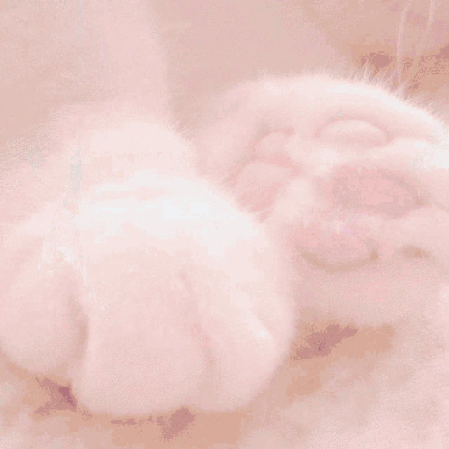Aesthetic Softcore GIF