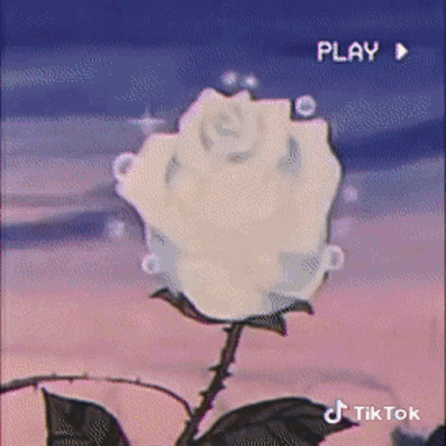 Aesthetic Tik Tok GIF