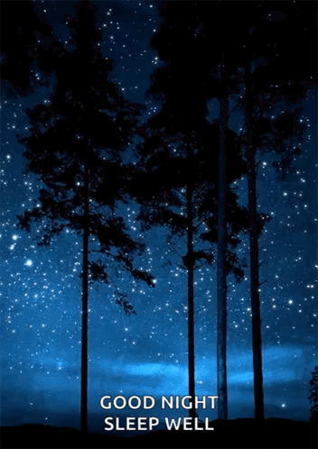 Aesthetic Trees GIF