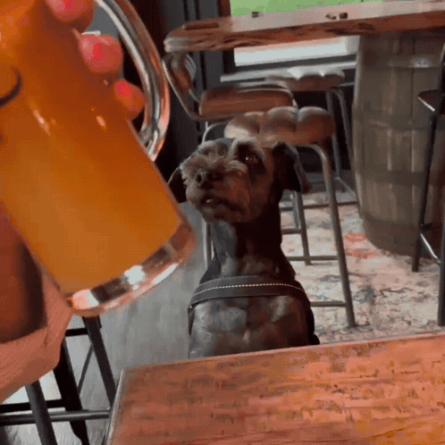 Afterwork Thirsty GIF