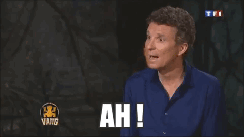 Ah Denis Brogniart Samuel Hounkpe GIF