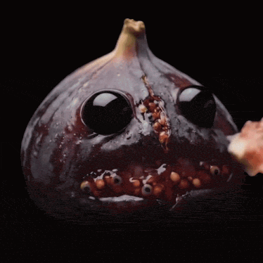 Ai Fig GIF