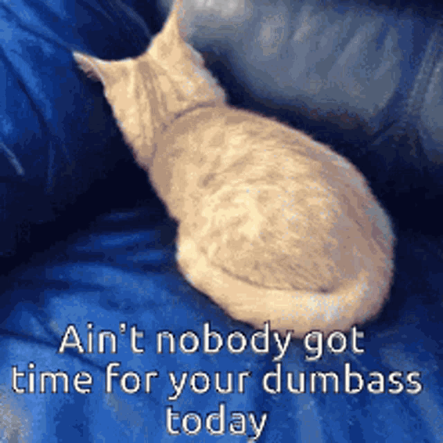 Aint Nobody Got Time Dumbass GIF