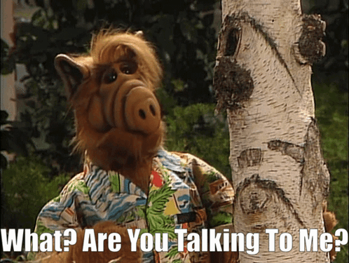 Alf Are You Talking To Me GIF