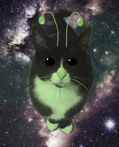 Alien Cat Ufo Cat GIF