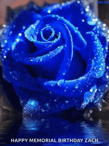 Allblueeverything Vote GIF