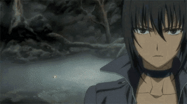 Alphard Al Sheya Canaan GIF