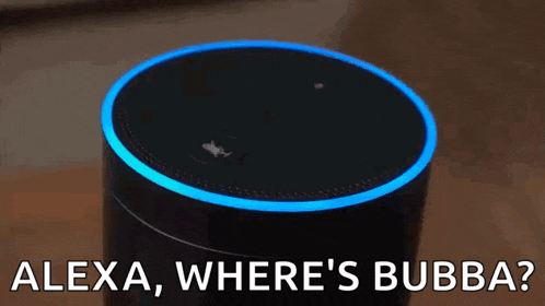 Amazon Echo GIF
