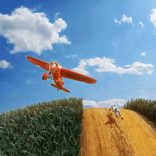 Amelia Fly GIF