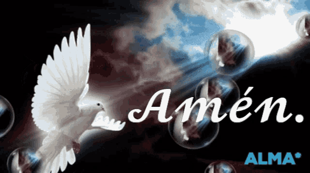 Amen Paloma GIF