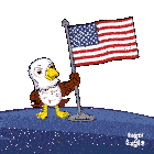 Amer Ameri Sticker