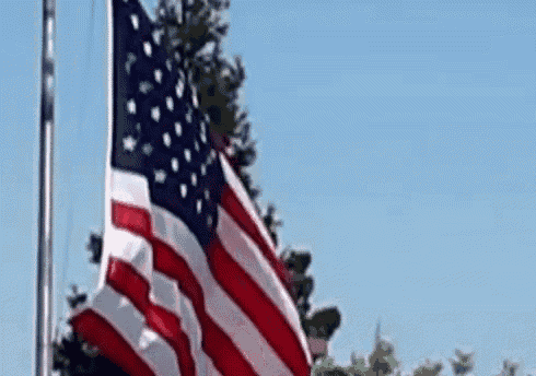 America American GIF