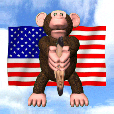 America Usa GIF