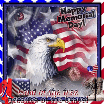 American Eagle Proud GIF