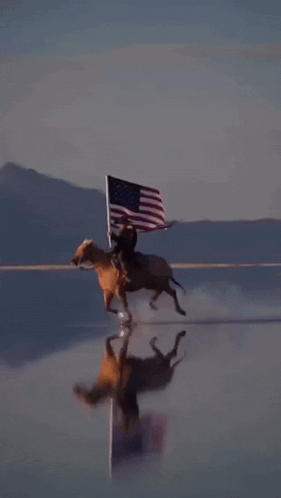 American Flag Horse Riding GIF