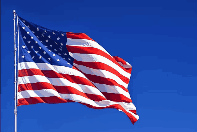 American Flag Meme