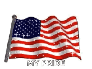 American Flag Usa GIF