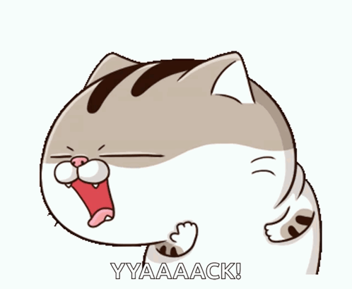 Amibb Cat GIF