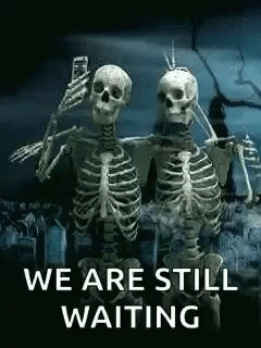 Amigos Selfie GIF