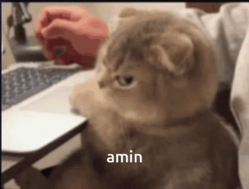 Amin GIF