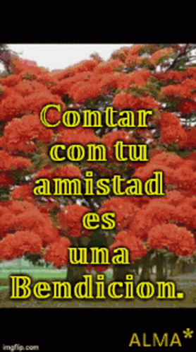 Amistad Contar Con Tu Amistad Es Una Bendicion GIF