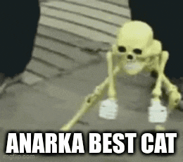 Anarkabestcat GIF