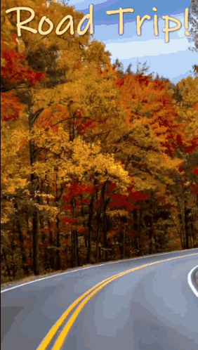 Andymack Andymack Channel98 GIF