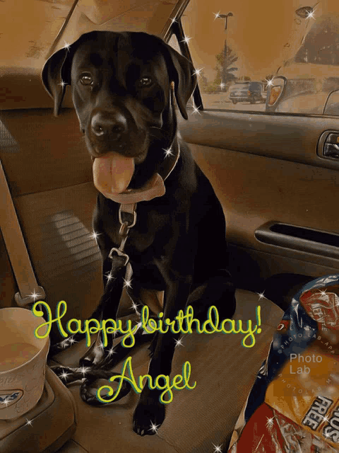 Angel Happy Birthday GIF